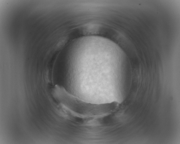 X0000062890224200601131343