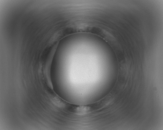 X0000062890225200601131343