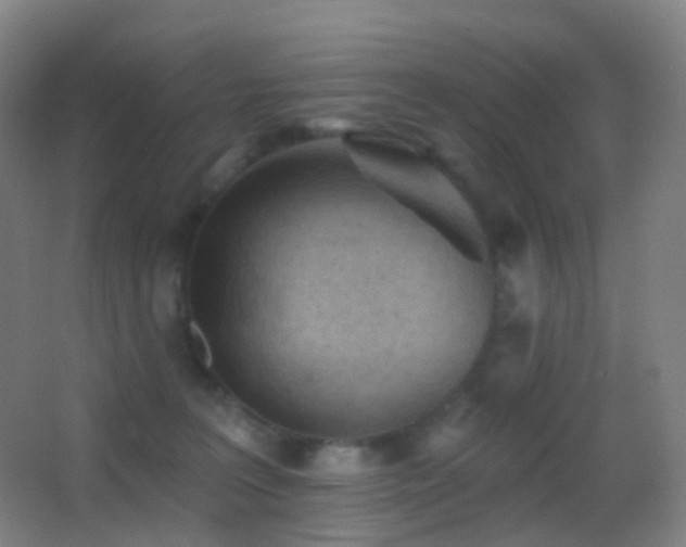 X0000062890227200601131343