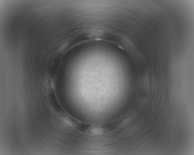 X0000062890228200601131343