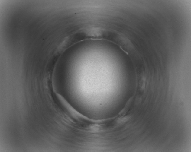 X0000062890229200601131343