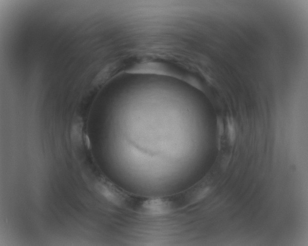 X0000062890231200601131342