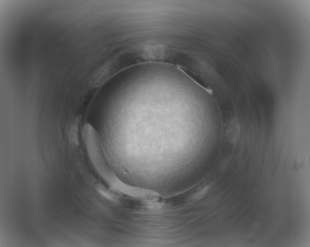 X0000062890233200601131342