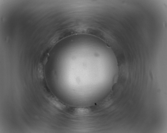 X0000062890234200601131342