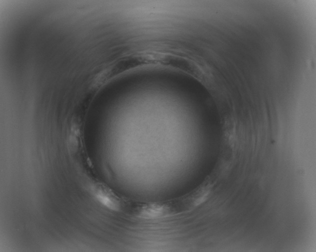 X0000062890235200601131342