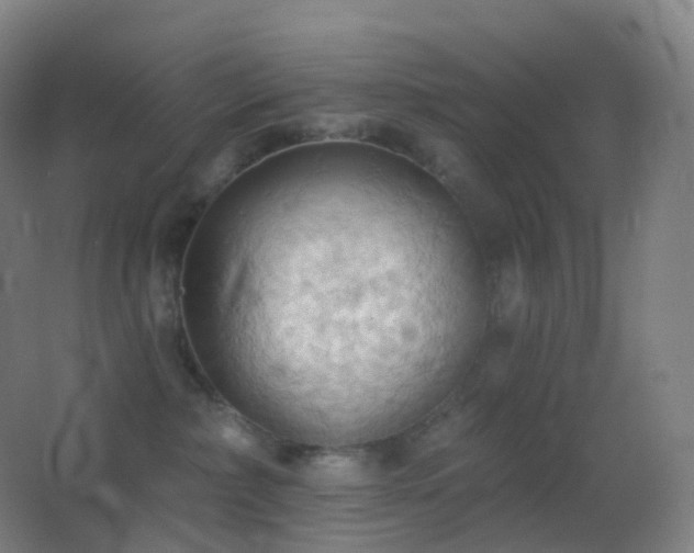 X0000062890236200601131342