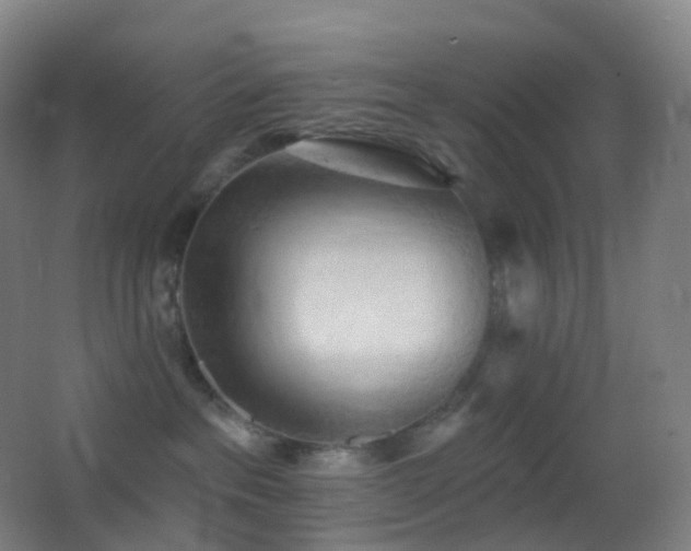 X0000062890237200601131342