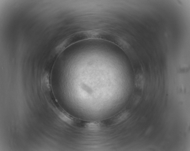 X0000062890238200601131342