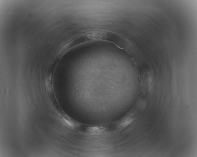 X0000062890239200601131342