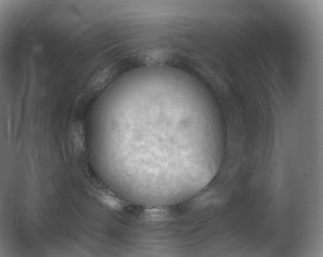 X0000062890240200601131342