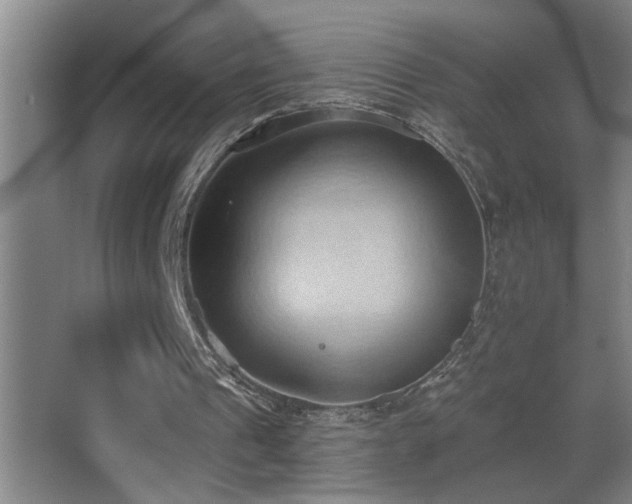 X0000062890241200601131342