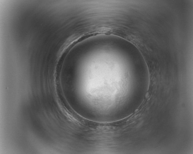 X0000062890242200601131342