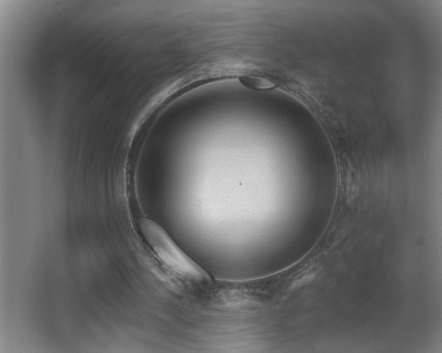 X0000062890244200601131342