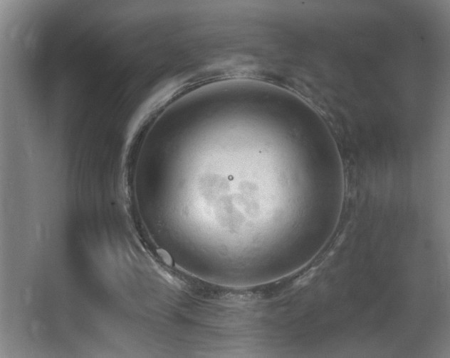 X0000062890245200601131342