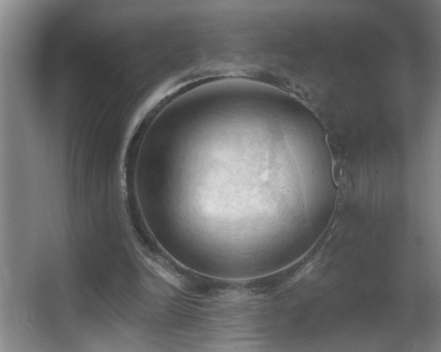 X0000062890246200601131342