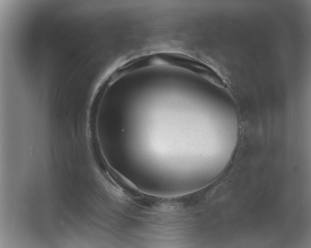 X0000062890248200601131342