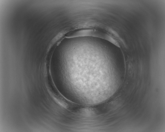 X0000062890250200601131342