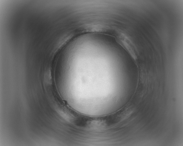 X0000062890251200601131342