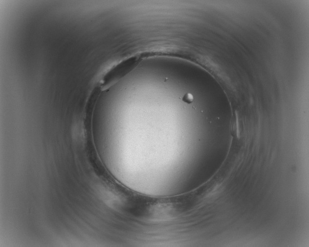 X0000062890252200601131342