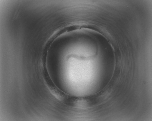 X0000062890256200601131342