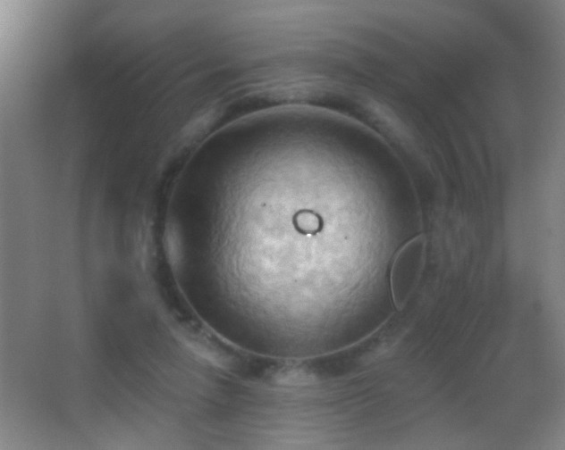 X0000062890258200601131342