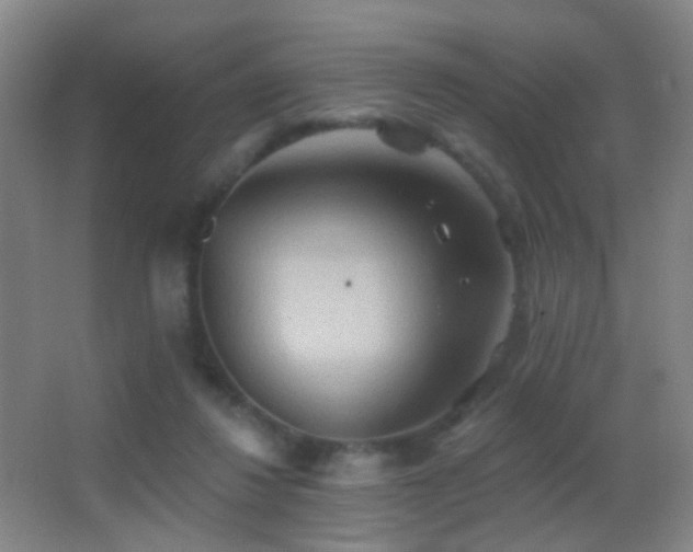 X0000062890260200601131342