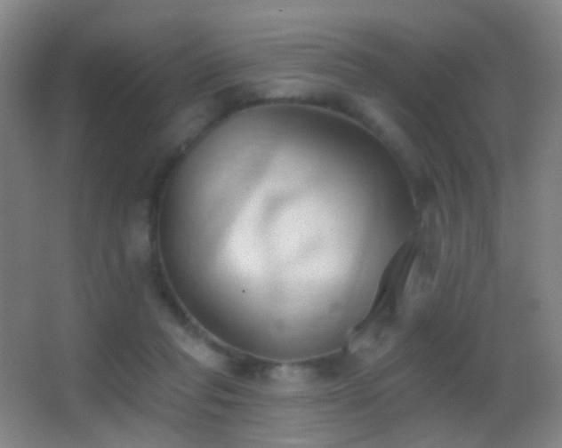 X0000062890261200601131342