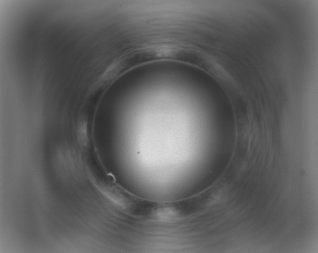 X0000062890262200601131342