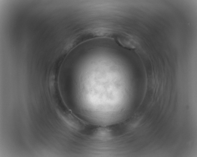 X0000062890263200601131342