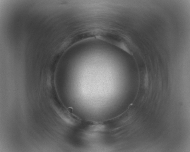 X0000062890266200601131342