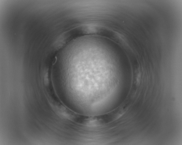 X0000062890267200601131342