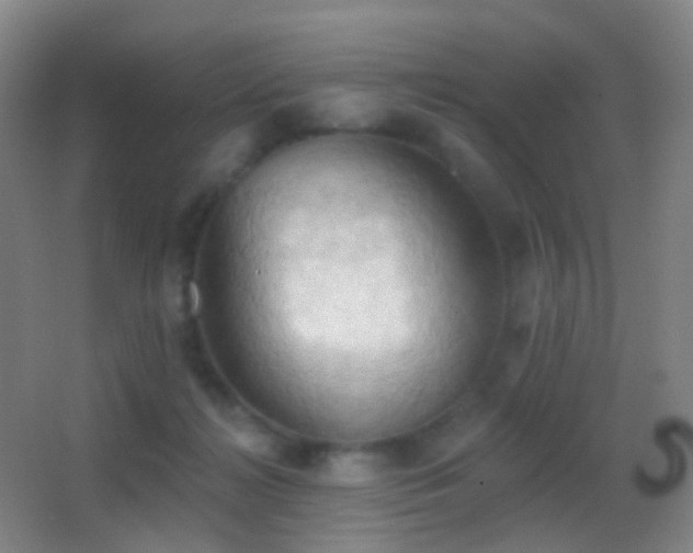 X0000062890268200601131342