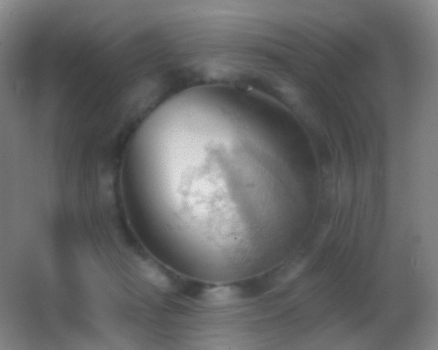 X0000062890269200601131342