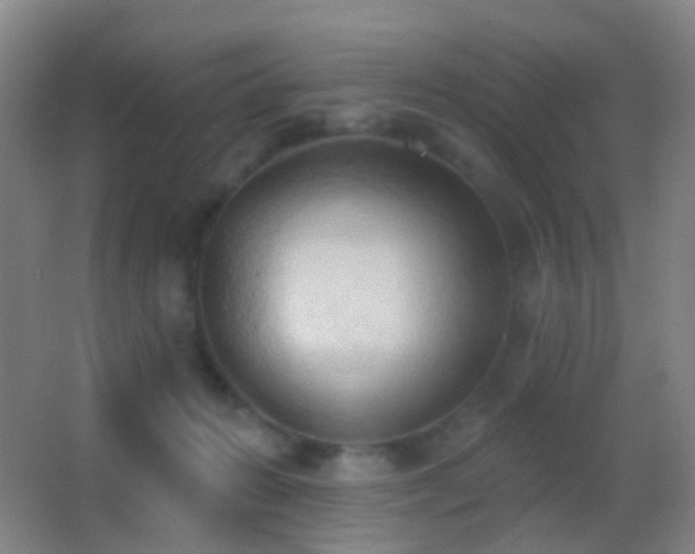 X0000062890270200601131342