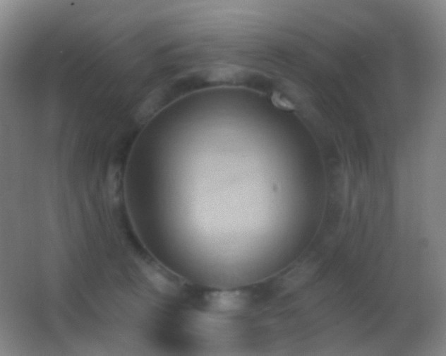 X0000062890273200601131342