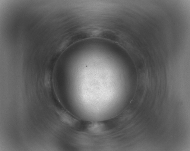 X0000062890274200601131342