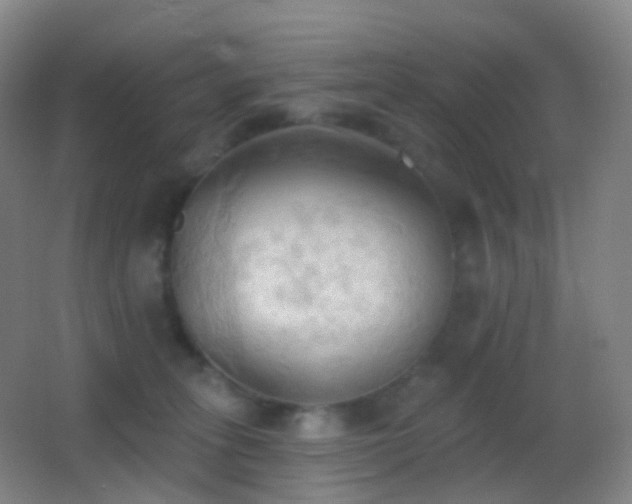 X0000062890275200601131342