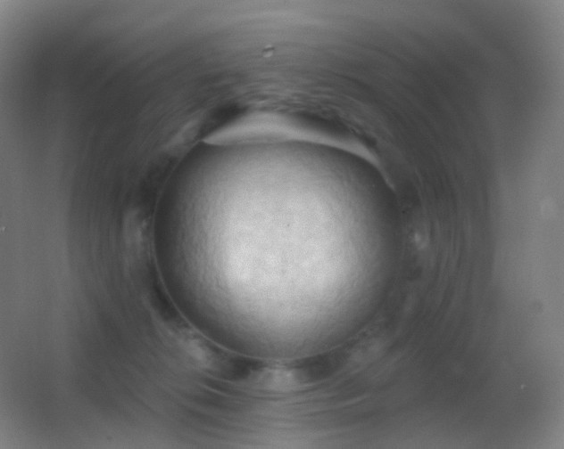 X0000062890276200601131342