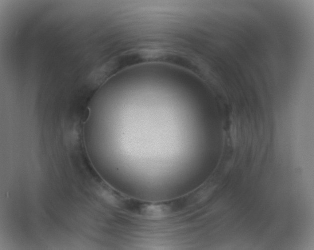 X0000062890277200601131342