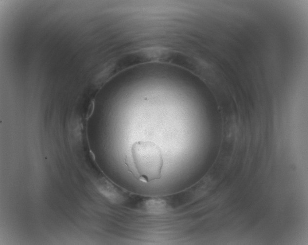 X0000062890279200601131342