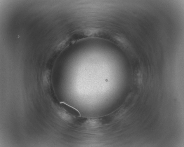 X0000062890280200601131342