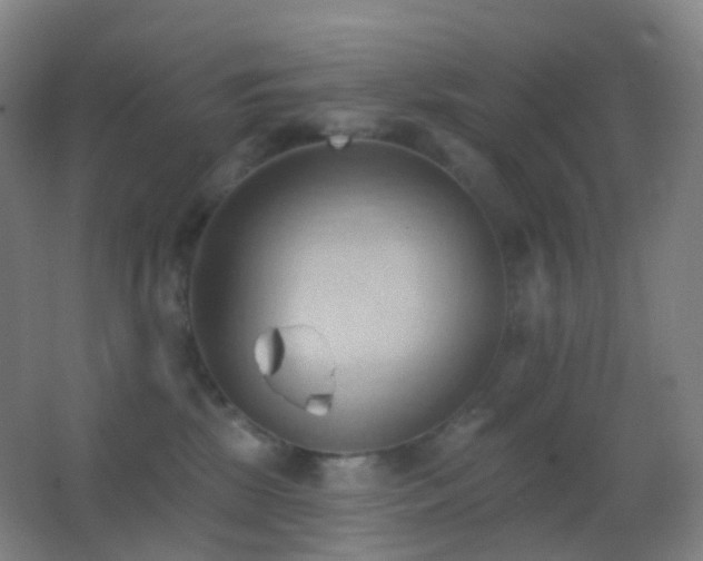 X0000062890281200601131342