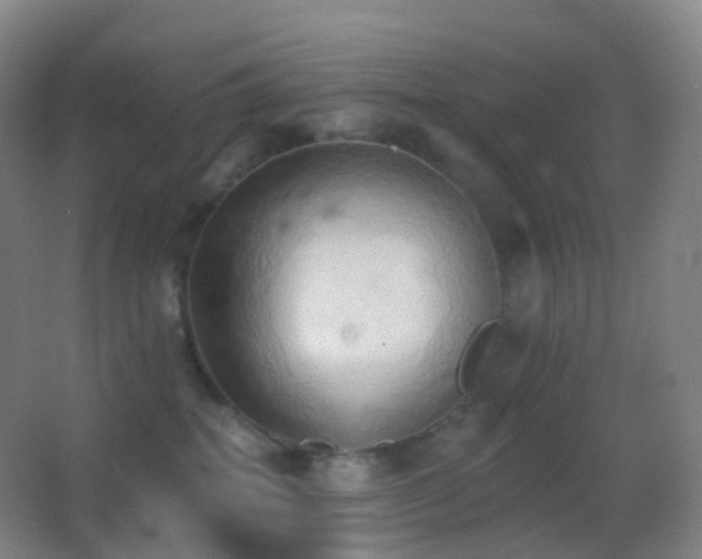 X0000062890282200601131342