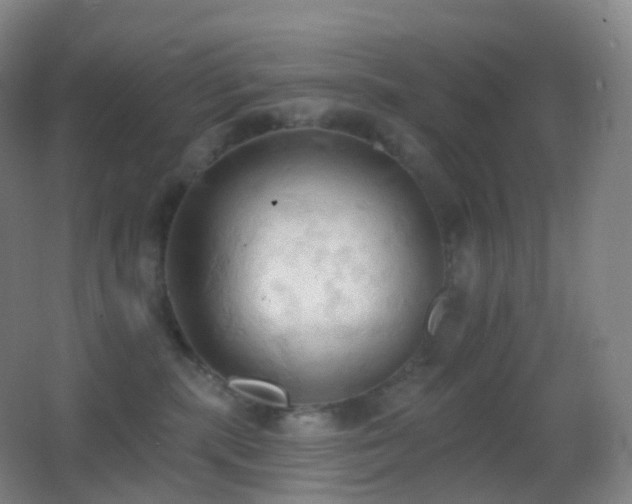 X0000062890283200601131342