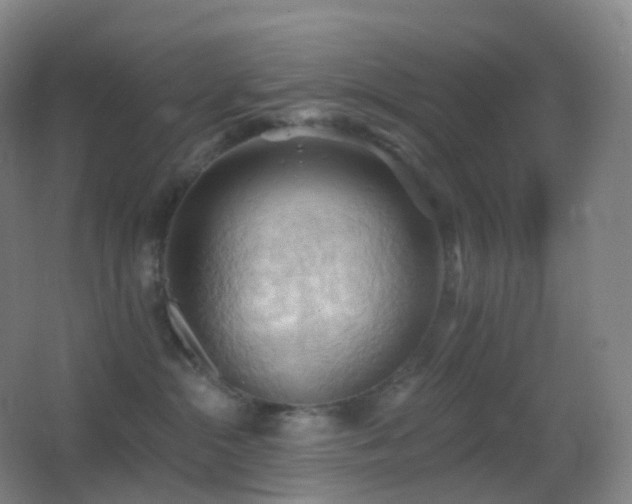 X0000062890284200601131342