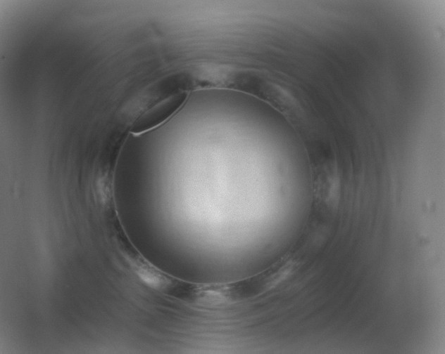 X0000062890285200601131342