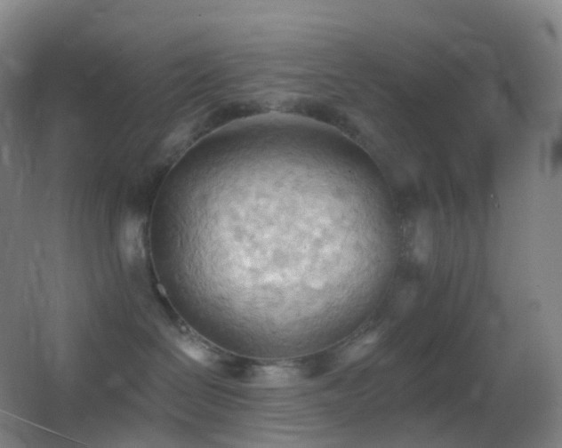 X0000062890286200601131342