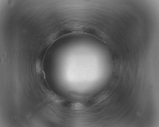 X0000062890287200601131342