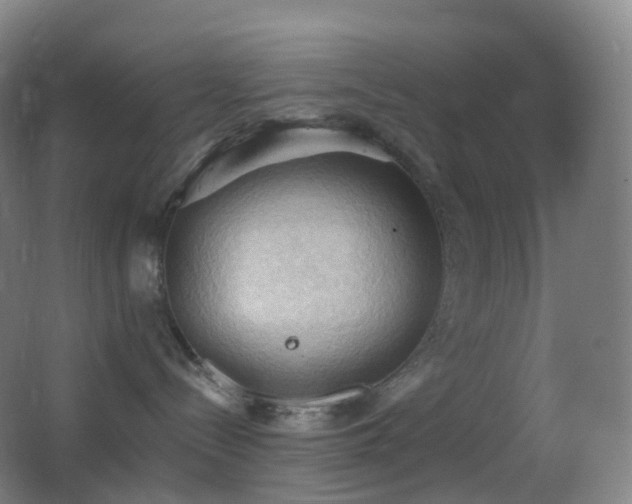 X0000062890288200601131342