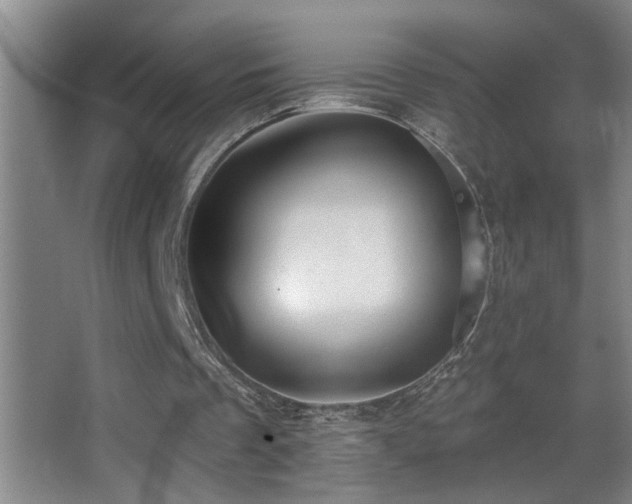 X0000062890289200601131342